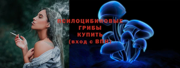 тгк Алзамай