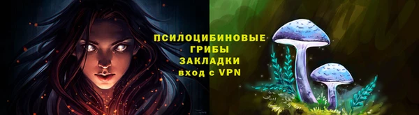 тгк Алзамай