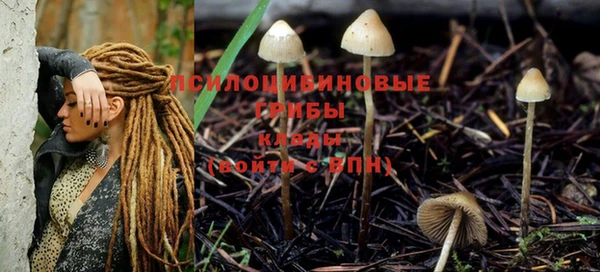 мескалин Алексеевка