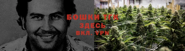 тгк Алзамай
