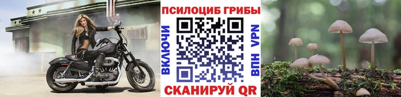 Галлюциногенные грибы GOLDEN TEACHER  магазин  наркотиков  Минусинск 