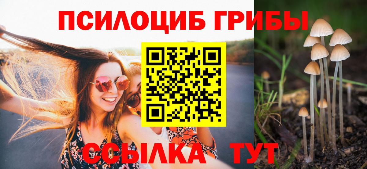Псилоцибиновые грибы Magic Shrooms  продажа наркотиков  Галлюциногенные грибы Cubensis  Минусинск  Вход с VPN 